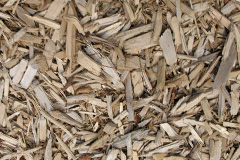 biomass boilers Saxelbye